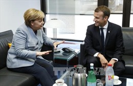 Pháp, Đức hối thúc thực thi một giải pháp hòa bình ở miền Đông Ukraine